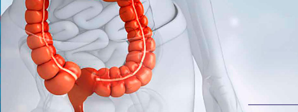 Virtual WEO – Live HIGH-Q Course in Colonoscopic Techniques