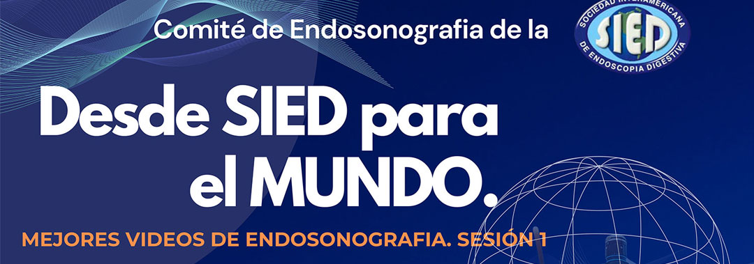 Webinar Desde SIED para el Mundo. Mejores Videos de Endosonografía. Sesión 1